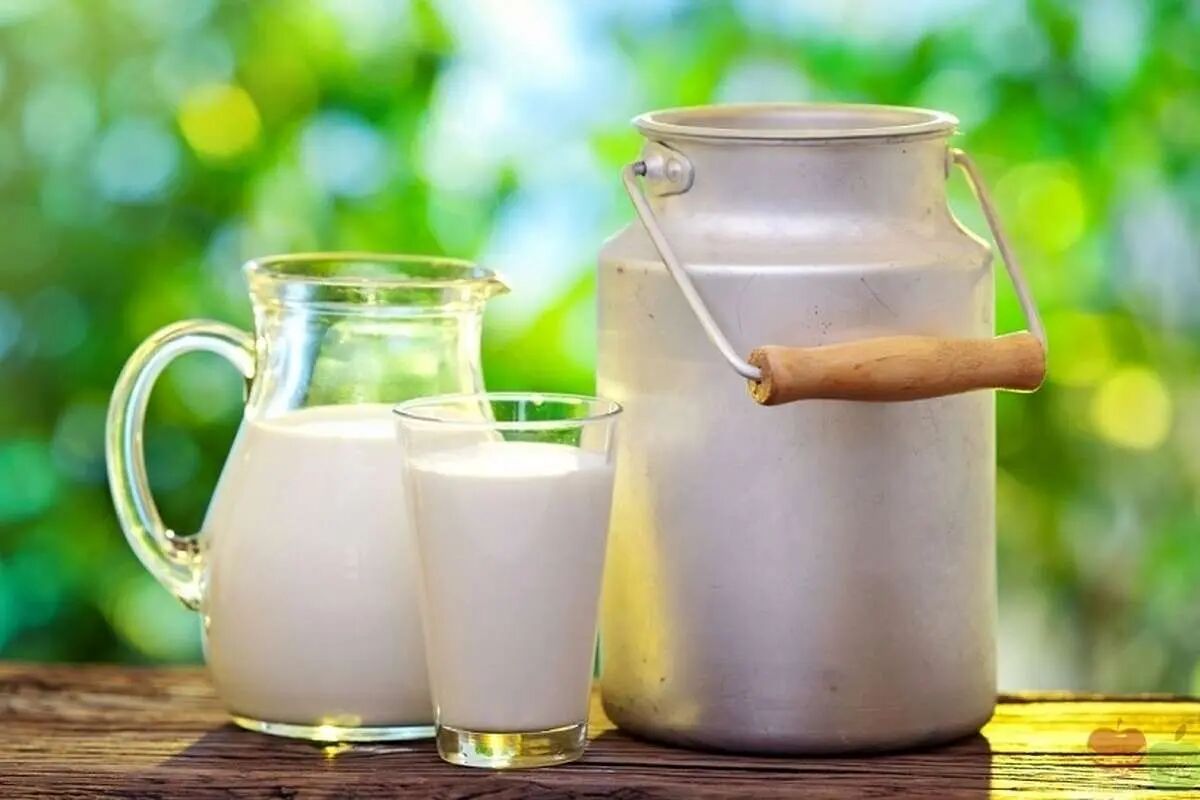 قیمت جدید شیر خام 60 هزار و 500 تومان شد