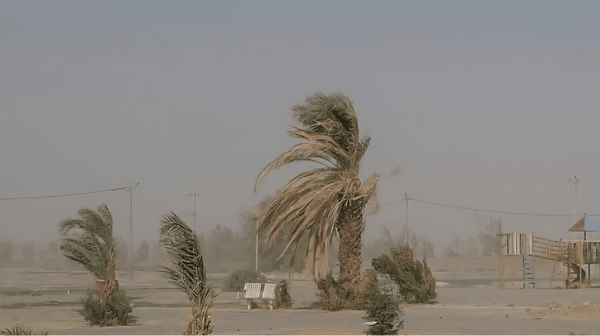 وزش باد ۱۱۲ کیلومتری زابل را درنوردید / کاهش دید افقی تا ۱۵۰۰ متر