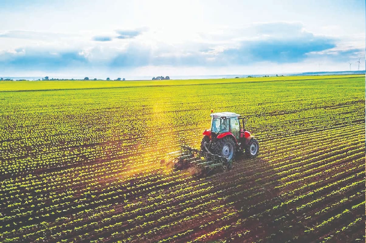 کشت فراسرزمینی؛ فرصتی برای فعالان اقتصادی