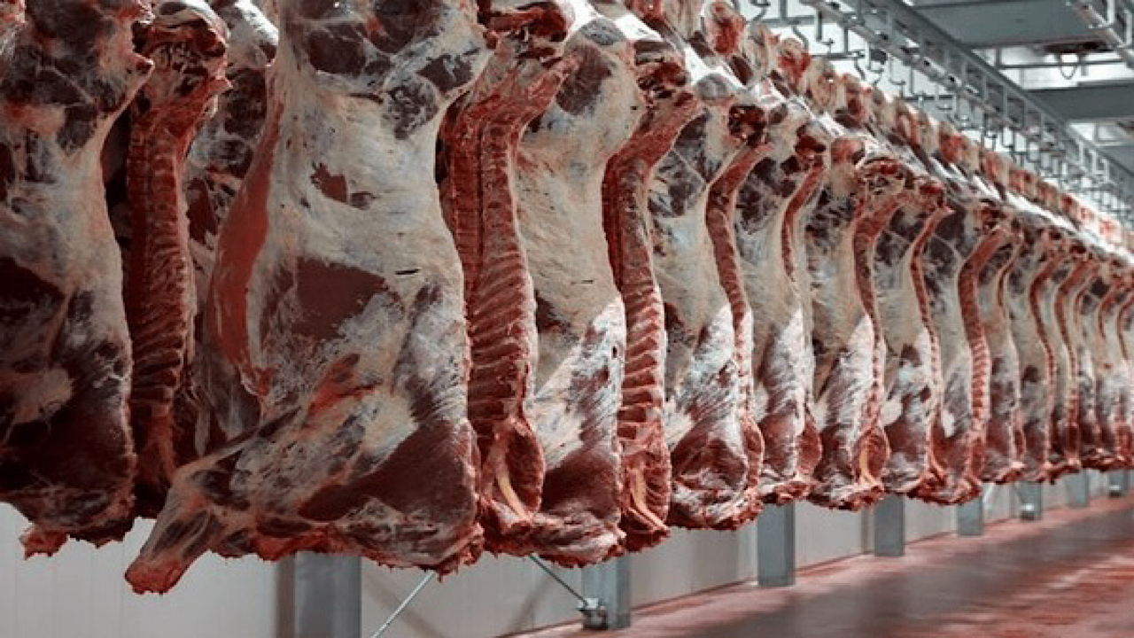 ثبت سفارش واردات گوشت از امروز آغاز شد؛ جزئیات و نحوه ثبت درخواست