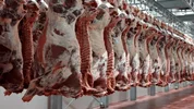 ثبت سفارش واردات گوشت از امروز آغاز شد؛ جزئیات و نحوه ثبت درخواست