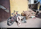 سفیر چین در ایران حمله به مراکز غیرنظامی را محکوم کرد