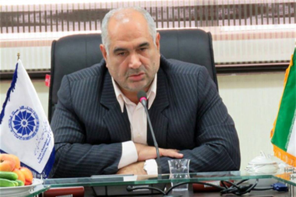 دارابی، عضو هیأت رئیسه اتاق بازرگانی مطرح کرد: سهم ناچیز اقتصاد کشور در واردات روسیه