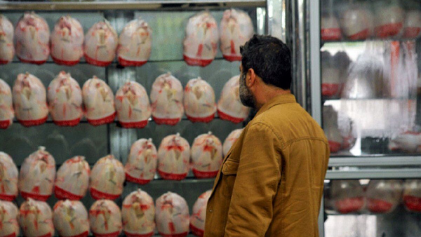 توزیع بیش از نیاز روزانه مرغ در تهران