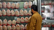 توزیع بیش از نیاز روزانه مرغ در تهران