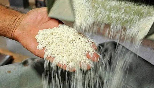 آخرین وضعیت بازار برنج؛ چرا واردات ۴۰۰ هزار تن برنج ضروری است؟
