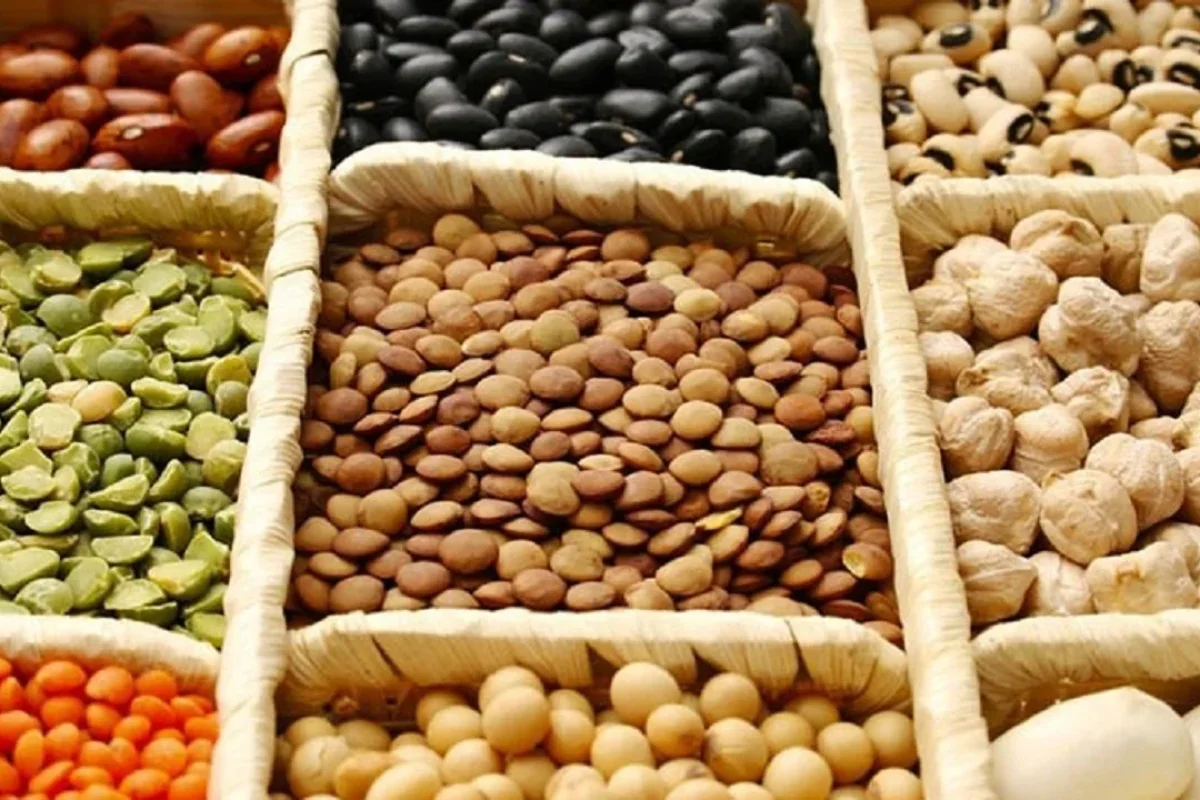 آغاز ثبت سفارش حبوبات از امروز ۱۲ شهریور ۱۴۰۵
