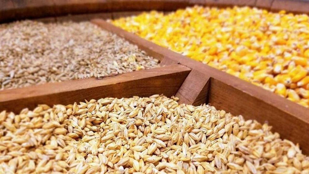 طلب واردکنندگان برای ترخیص نهاده‌ها به ۱.۵ میلیارد یورو رسید