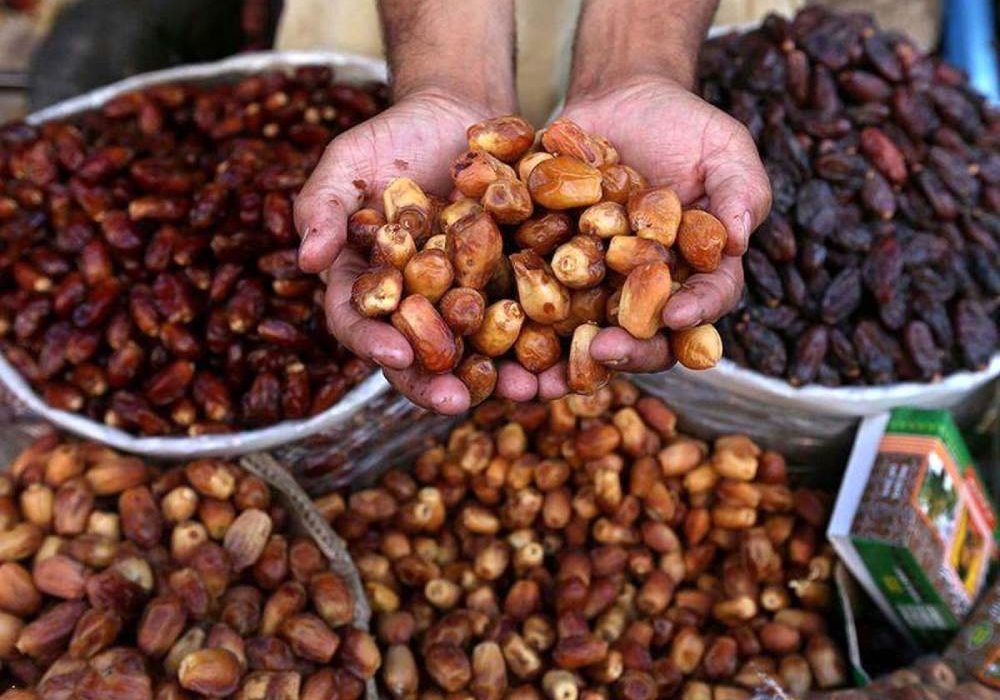 صادرات خرما دوباره مجاز شد