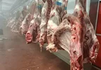 به دنبال دیدار ترامپ و شی؛ چین مجوز صدها صادرکننده گوشت گاو آمریکایی را تمدید کرد