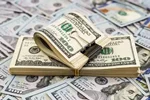 قیمت دلار و ارز امروز شنبه ۸ شهریور ۱۴۰۴