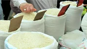 قیمت جدید برنج اعلام شد؛ اختلاف نرخ‌های بازار و میادین میوه و تره‌بار