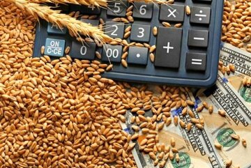 کاهش قیمت جهانی مواد غذایی