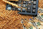 کاهش قیمت جهانی مواد غذایی