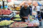 میادین میوه و تره‌بار تهران چهارشنبه تعطیل شد