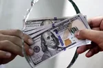 افزایش قیمت دلار امروز دوشنبه 11خرداد 1405