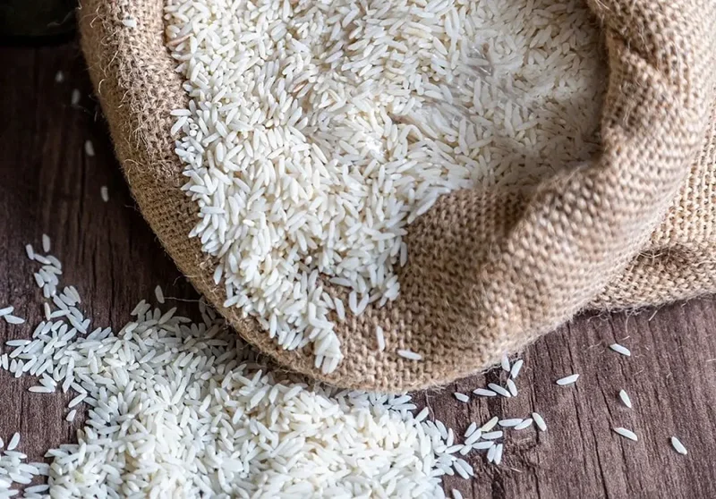 خشکسالی، نیمی از برنج امسال ایران را وارداتی کرد؛ پیشبینی واردات ۱.۶ میلیون تن