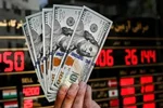 قیمت دلار امروز ۹ مهر ۱۴۰۵؛ نرخ رسمی به مرز ۱۷۵ هزار تومان رسید