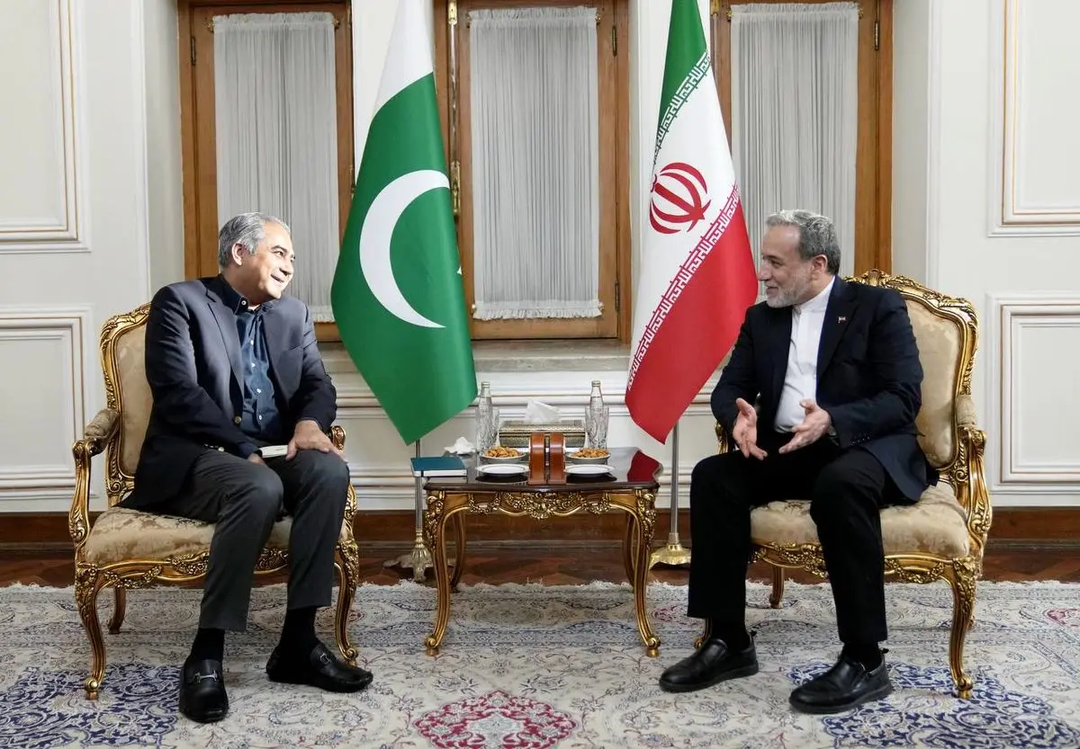 دیدار وزیر کشور پاکستان با عراقچی در تهران