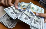 قیمت دلار امروز شنبه ۲۴ مرداد ۱۴۰۵؛ دلار ۱۸۷ هزار و ۸۰۰ تومان شد