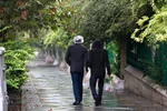 آغاز بارندگی در شمال کشور؛ کاهش دمای تهران در راه است