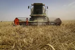 راهبردهای عملیاتی امنیت غذایی