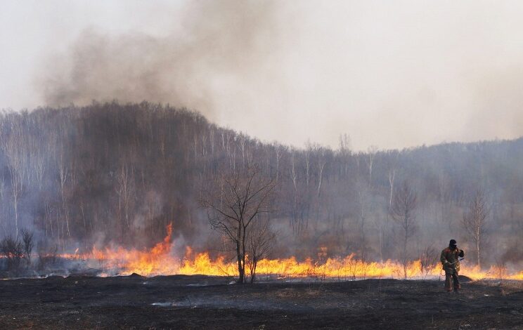 گسترش آتش‌سوزی‌های مهیب در سیبری؛ ۶۰۰ هزار هکتار جنگل در آتش (فیلم)