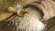 رفع ممنوعیت واردات برنج در فصل برداشت