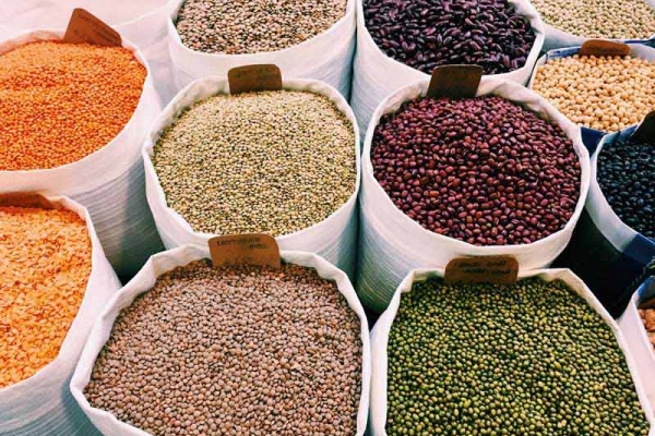 بدهی ۱۰۰ میلیون یورویی بانک مرکزی به واردکنندگان حبوبات