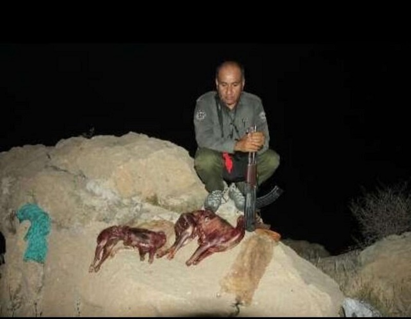 شهادت تلخ محیط‌بان هدایت‌الله دیدبان در منطقه حفاظت‌شده خاییز