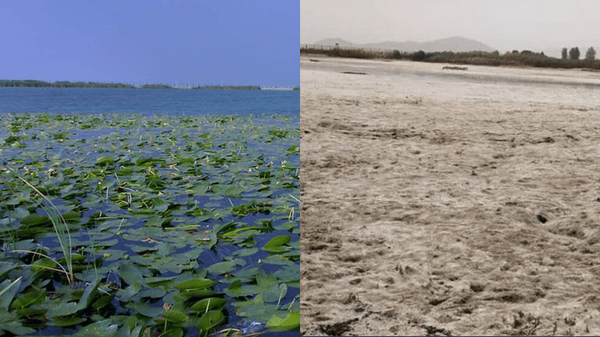 «سراب نیلوفر» کرمانشاه خشک شد؛ دبی آب به صفر رسید