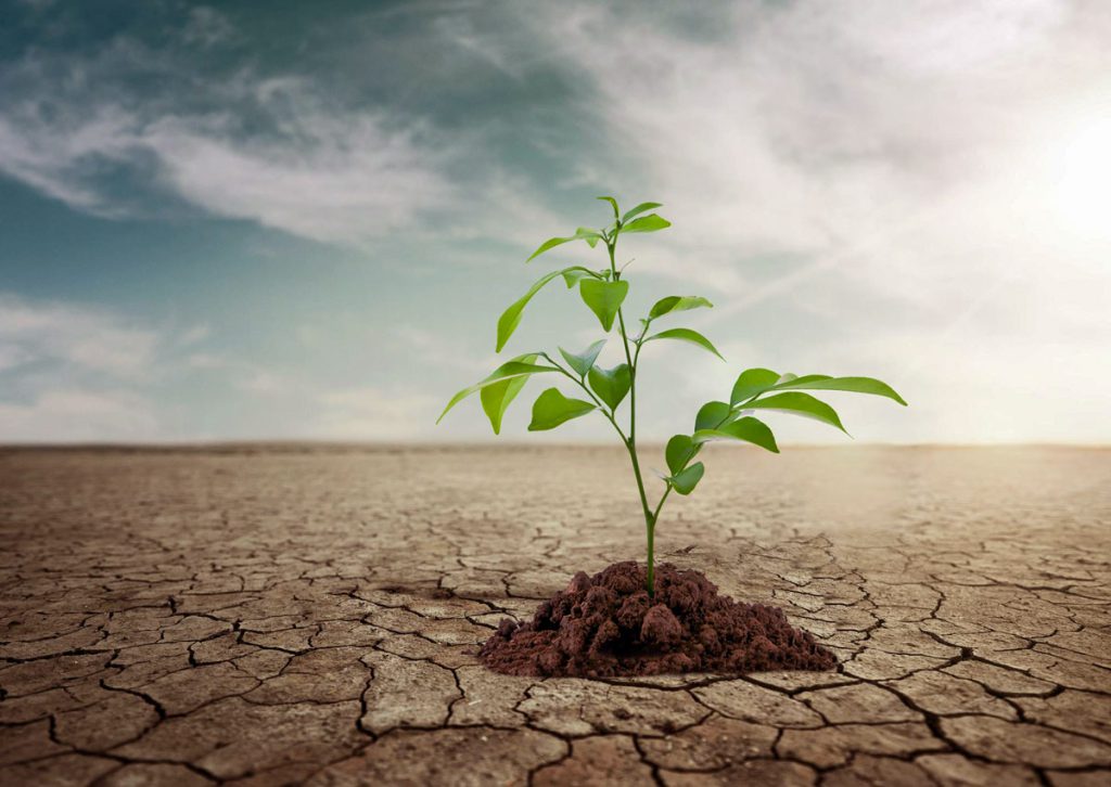 معاون وزیر نیرو در امور آب و آبفا: حق نداریم حتی یک قطره آب را از دست بدهیم