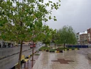 پیش‌بینی هوای تهران؛ بارش پراکنده از شنبه ۲۵ مهر آغاز می‌شود