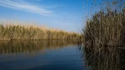 صدور دستور رهاسازی آب به سوی هورالعظیم