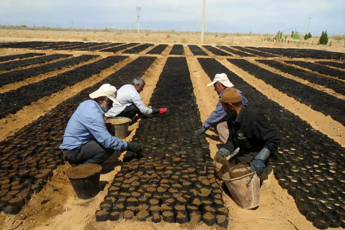 کارگران اداره منابع طبیعی ایلام در انتظار پرداخت مطالبات معوقه