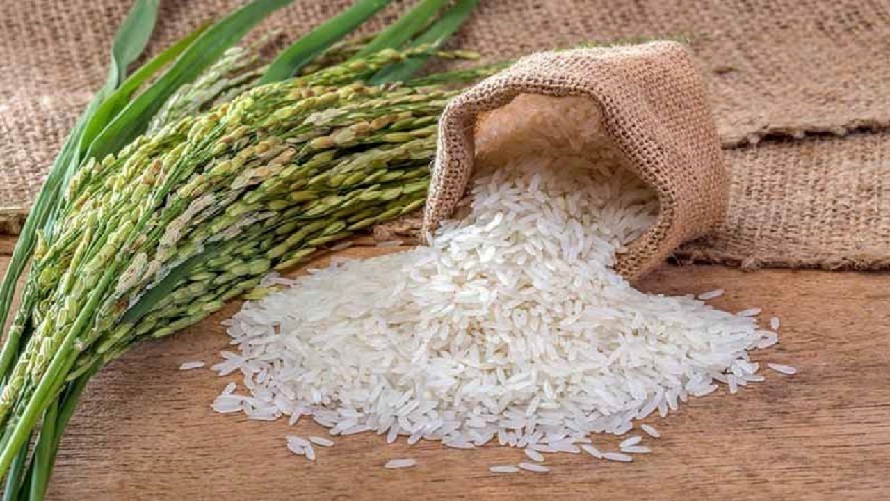 قیمت هر کیلو برنج شمال به ۴۰۰ هزار تومان رسید