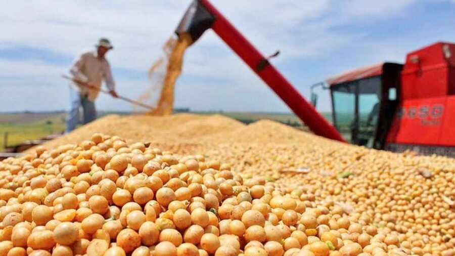 کاهش محدودیت‌ها برای واردات نهاده‌ها