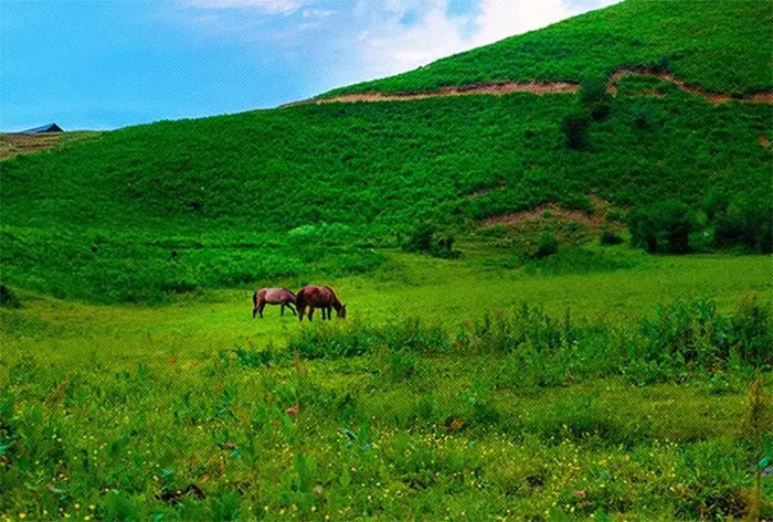 مدیریت مراتع؛ پاسداری از آیندۀ سرزمین