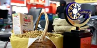 گلها؛ نماد مقاومت در شرایط سخت