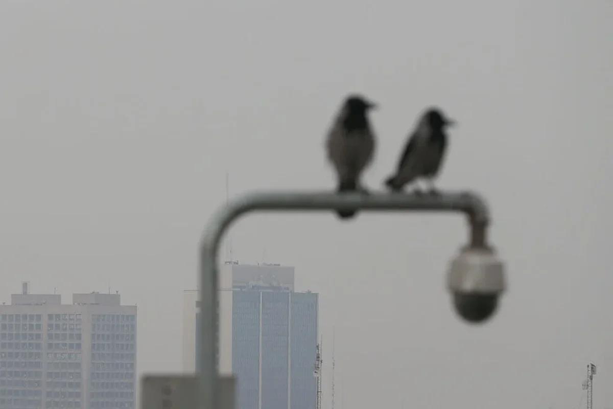 افزایش نسبی دما و آلودگی هوا در انتظار تهران