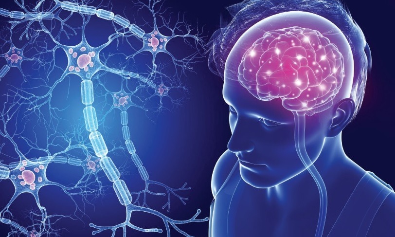 شناسایی ۱۱۲ هزار بیمار مبتلا به ام‌اس در کشور / عوامل خطر و جزئیات درمان