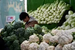فردا تمامی میادین و بازارهای میوه و تره‌بار تعطیل است