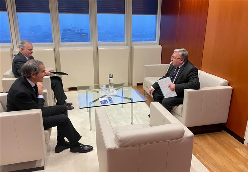 دیدار نماینده روسیه با مدیرکل آژانس انرژی اتمی درباره برنامه هسته‌ای ایران