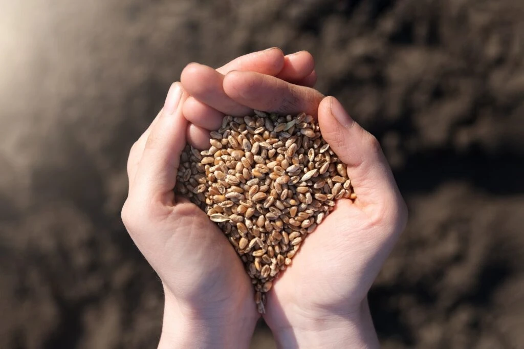 نقش بخش خصوصی و برندهای بزرگ در تأمین پایدار مواد غذایی