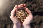 نقش بخش خصوصی و برندهای بزرگ در تأمین پایدار مواد غذایی