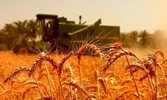 ذخایر استراتژیک کشور در وضعیت مطلوب است