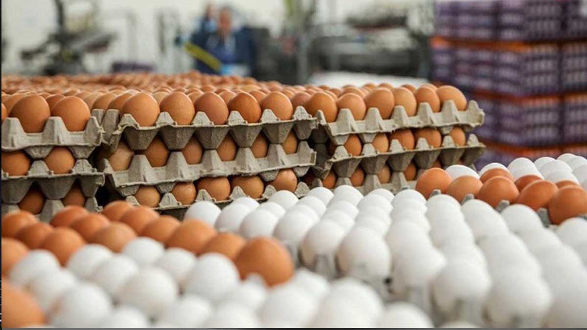 دیگر هشدار فایده ندارد!