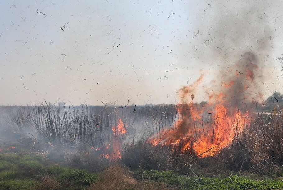 معاون اجرایی رئیس‌جمهور درباره آلودگی اهواز؛ تعیین مهلت برای حذف آلودگی صنعت نیشکر الزامی است