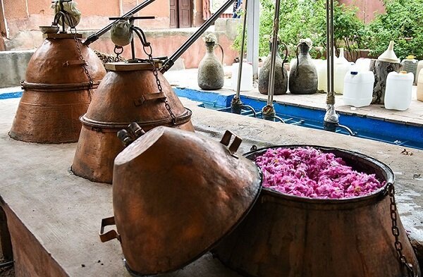 آیین گلاب‌گیری کاشان در فهرست رویدادهای گردشگری ایران ثبت شد