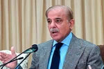 شهباز شریف در دیدار با رئیس‌جمهور و نخست‌وزیر چین عنوان کرد: جهان در حال عبور از مرحله‌ای بسیار حساس است